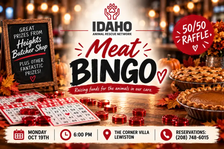IARN Meat Bingo Fundraiser event flyer