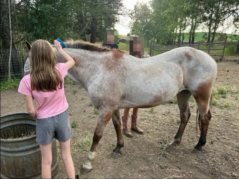 Violet recovering in foster care