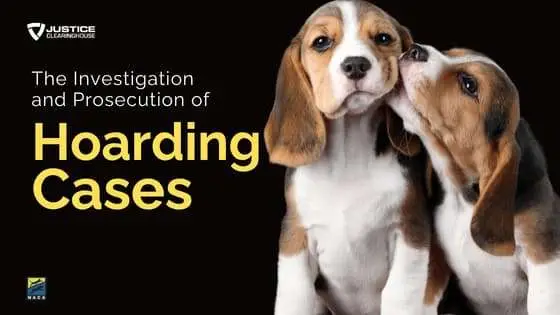 Justice Clearinghouse webinar graphic: The Investigation and Prosecution of Hoarding Cases, with two beagle puppies