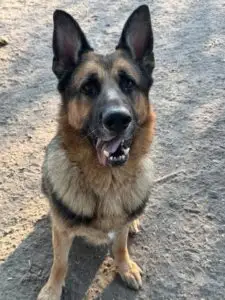 Kane