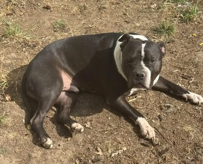 Cupid resting outdoors in the sunshine
