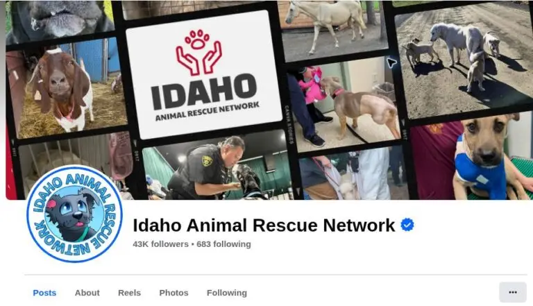 Screenshot of the Idaho Animal Rescue Network Facebook page, showing the rescue photo collage and page name