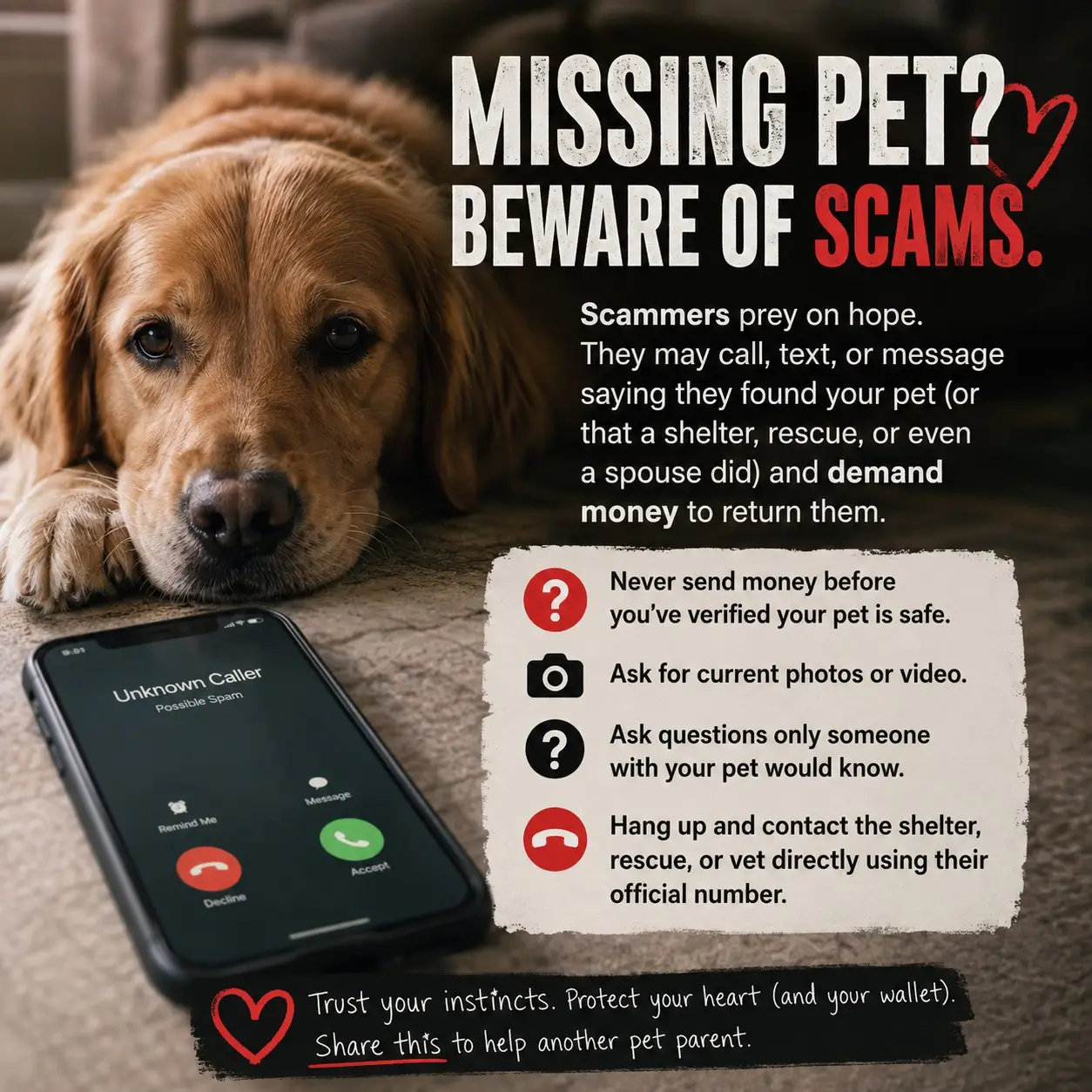 Lost pet scam alert: verify the pet with current photos or video, contact shelters and vets through their official number, and never share verification codes or send unverified payments.