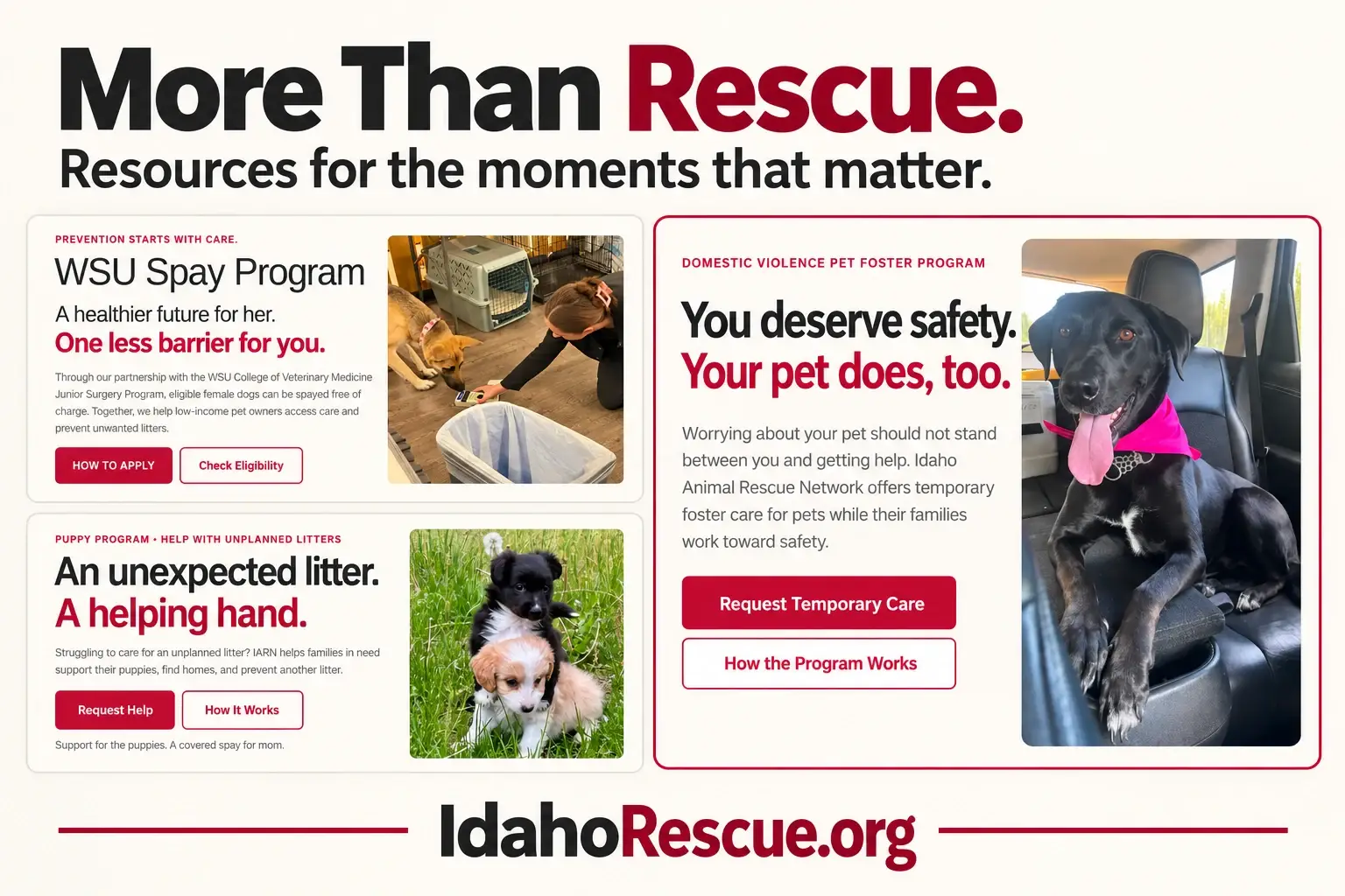 IARN programs for domestic violence temporary pet foster care, WSU spay assistance, and unexpected puppy litters.