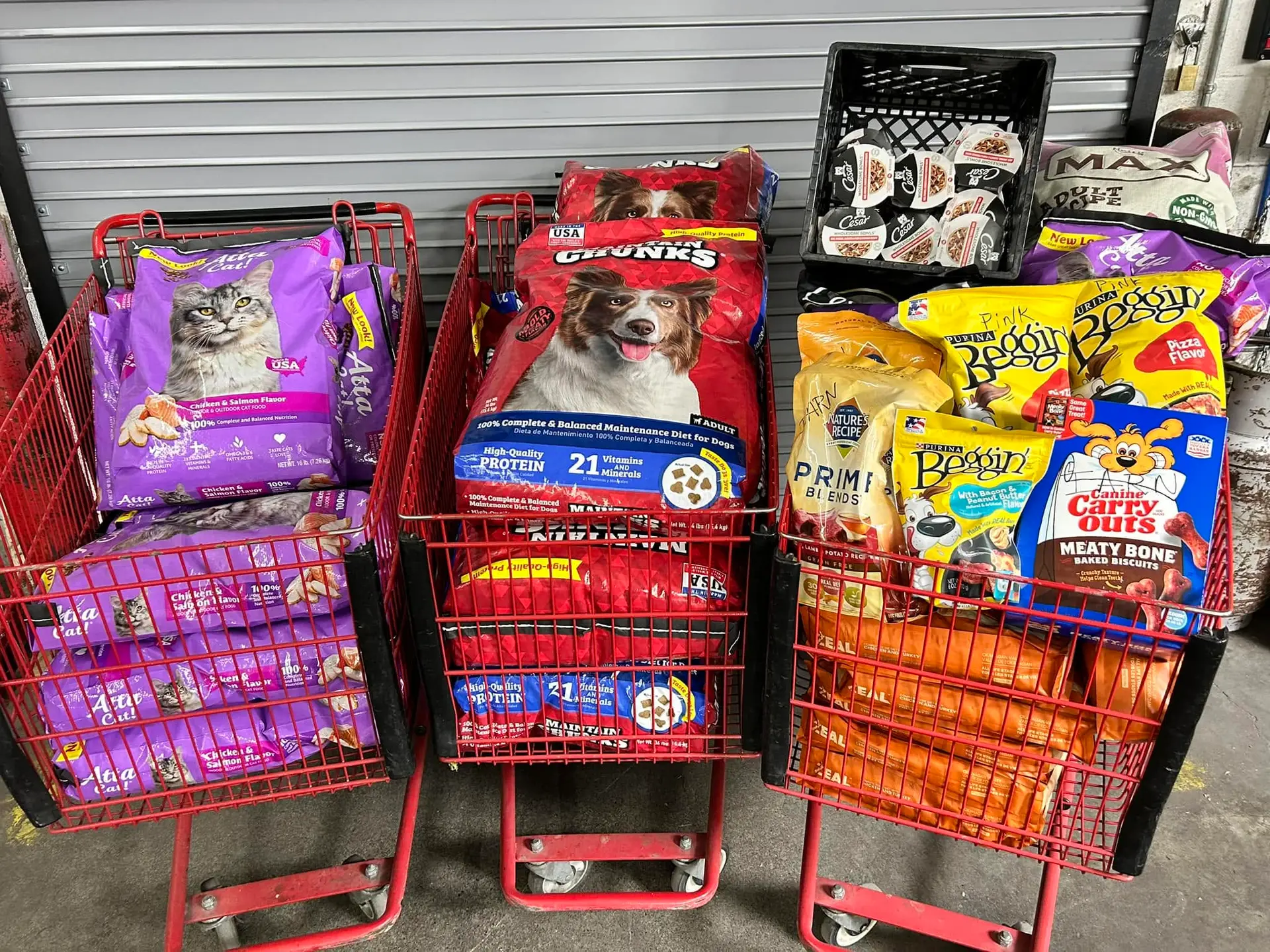 Carts filled with donated dog food, cat food, and pet treats